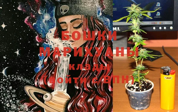 стаф Вязники