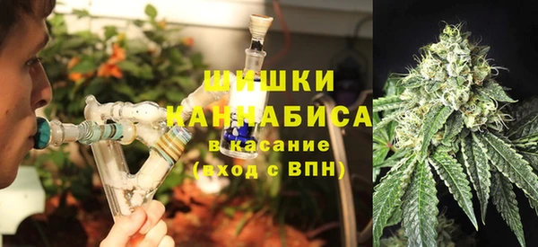 эйфоретик Горняк