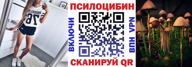 Галлюциногенные грибы мицелий  Купить закладки  Никольск 